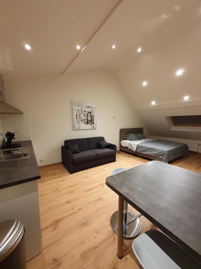 Brussels North - Pajot Apartments Wemmel Kültér fotó